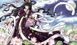 漫画图片华丽,一场视觉盛宴的奇幻之旅