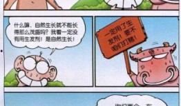 呆头漫画视频,欢乐日常，笑料百出