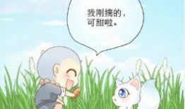 小和尚小狐狸漫画,禅意盎然的森林奇遇记