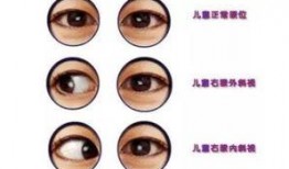 斜视漫画,漫画中的趣味与智慧