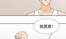 不要脸漫画,揭秘“不要脸”漫画背后的幽默与讽刺