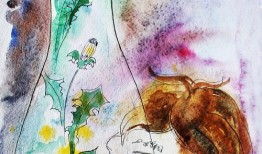 猪八戒败阵漫画作文,一场智慧与勇气的较量