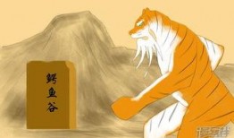 漫画大虎,漫画中的英雄传奇与成长之旅