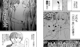 漫画新体,颠覆传统，创新视觉叙事艺术